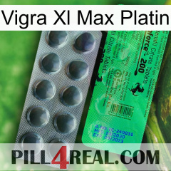 Vigra Xl Max Platinum new04